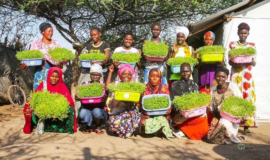 Women of Kalobeyei holding trays of sprouts they grew
